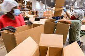 house shifting cochin